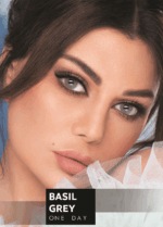 عدسات-سيلينا-اليومية-بازيل-جراي-ماو_ستور