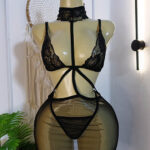 لانجري-مثير-شفاف-بأشرطة-ورقبة-ماو_ستور